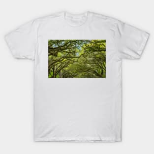 Live Oaks at Wormsloe, Savannah T-Shirt